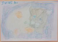 IMG_20251219_193405 (2)
