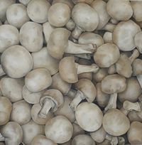 IMG-20190516-WA0008-1